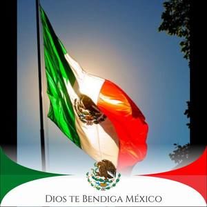 Meet your Posher, Connie